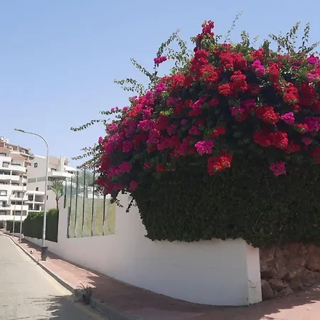 Spacious With Facilities Just A Few Metres From The *