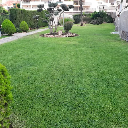 Spacious With Facilities Just A Few Metres From The *